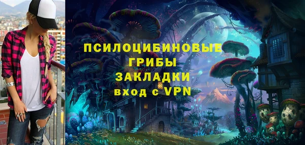 гашик Беломорск