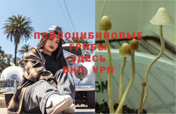 гашик Беломорск