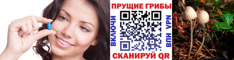 Галлюциногенные грибы прущие грибы  дарнет шоп  Очёр 